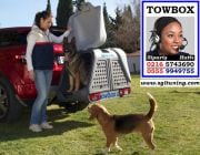 SGL-TOWBOX-V2 TOWBOX V2 DOG GRİS ÇEKİ DEMİRİNE TAKILAN KÖPEK VE YÜK TAŞIMA KUTUSU